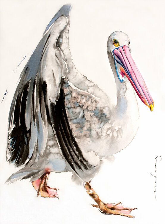 Pelican Diva Soo Beng Lim