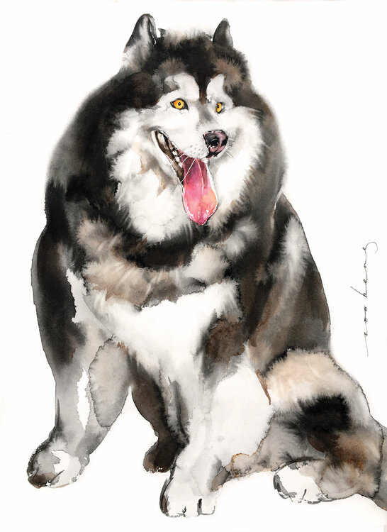 Husky Pup Soo Beng Lim