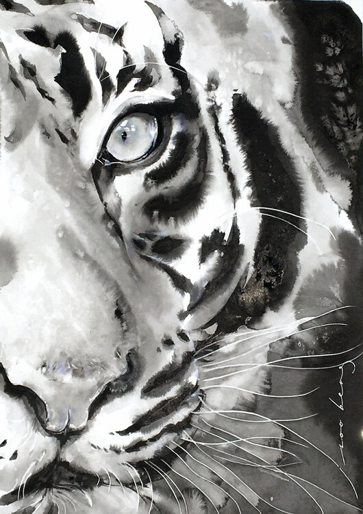 Water Tiger3 Soo Beng Lim