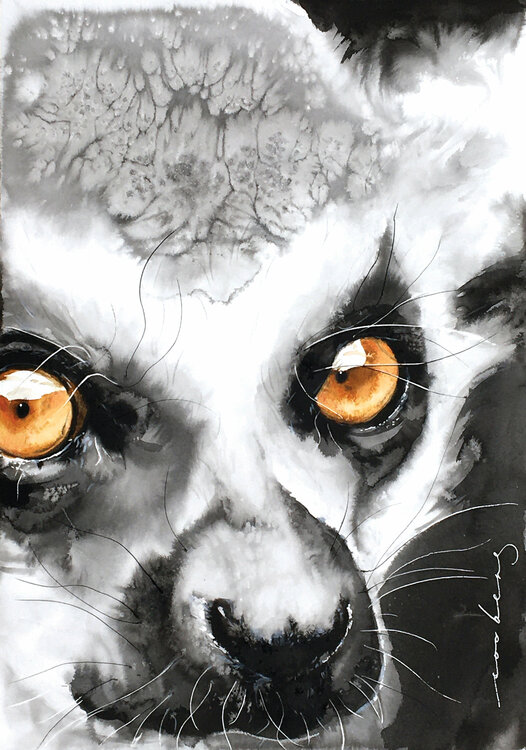 Madagascan Princess2 Soo Beng Lim
