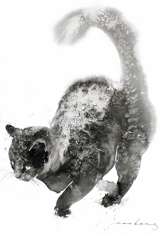 Snowy Wander Soo Beng Lim