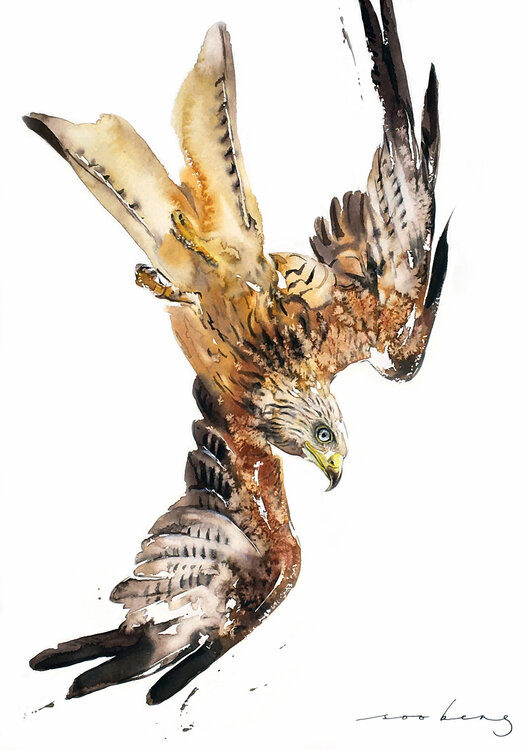 Red Kite in Flight (SOLD) Soo Beng Lim