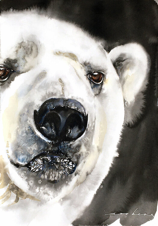 Arctic Polar Soo Beng Lim