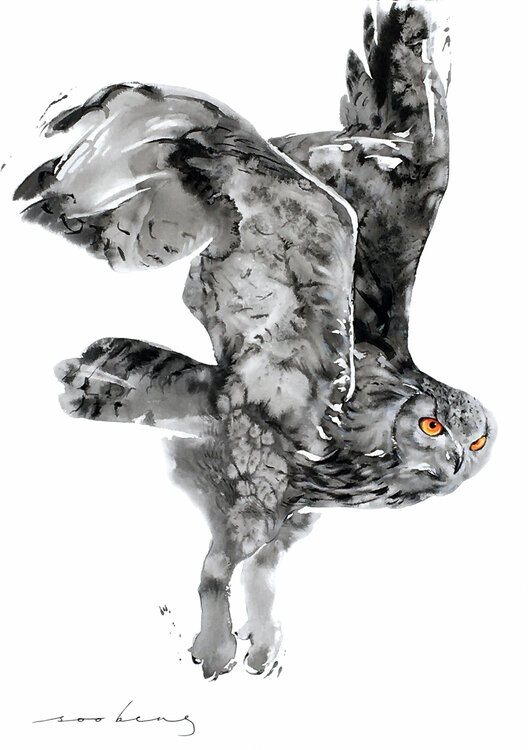 Owlie Flight2 (SOLD) Soo Beng Lim