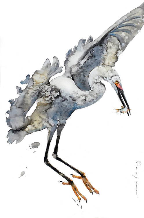 Heron Harmony (SOLD) Soo Beng Lim