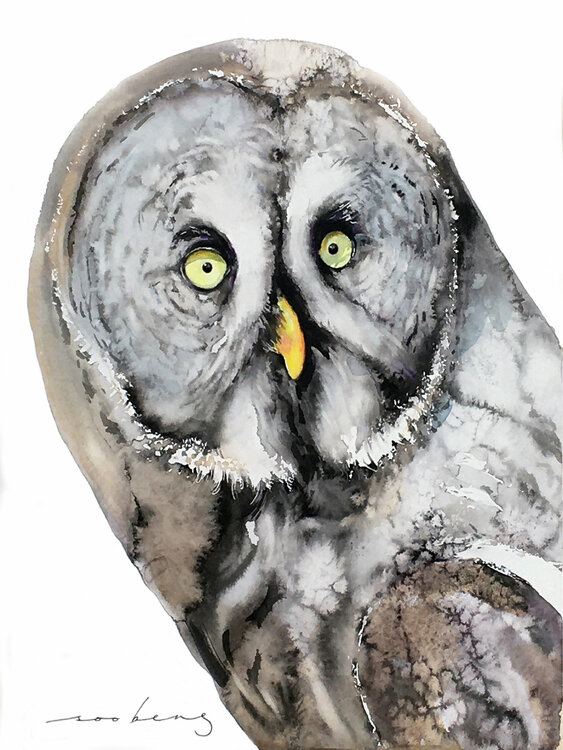 Mystic Owl (SOLD) Soo Beng Lim