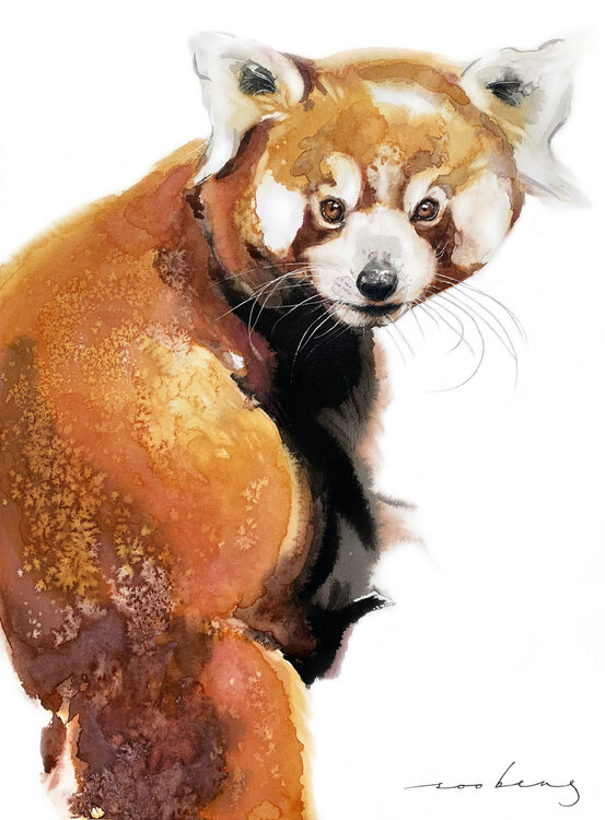 Red Panda Charm Soo Beng Lim