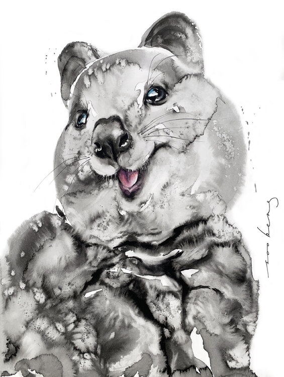 Quokka Smile Soo Beng Lim