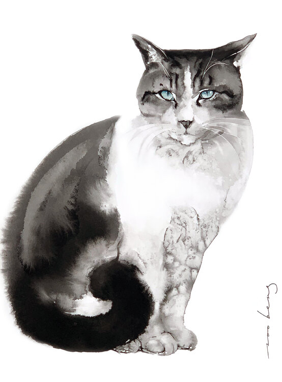 Feline Charm Soo Beng Lim