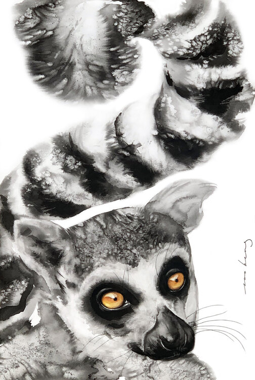 Lemur Persona Soo Beng Lim