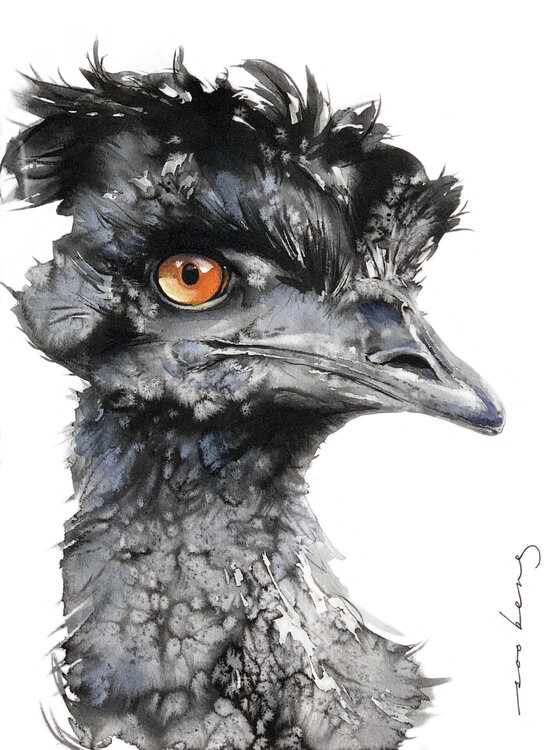 Curious Emu Soo Beng Lim