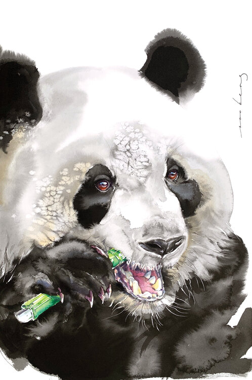 Panda Snack Soo Beng Lim