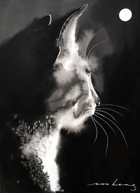 Illuminated Feline Soo Beng Lim