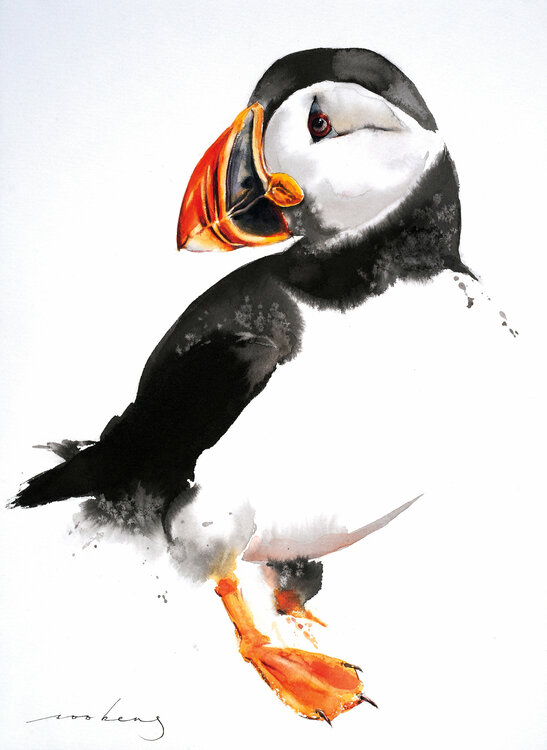 Puffin (SOLD) Soo Beng Lim