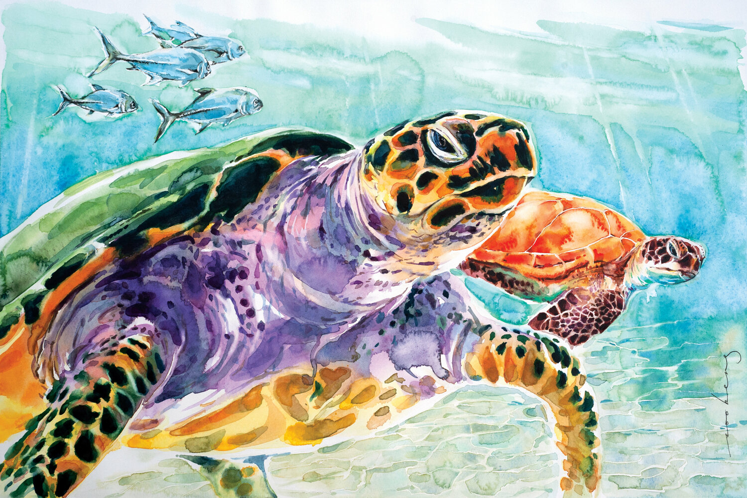 Leatherback2 Soo Beng Lim