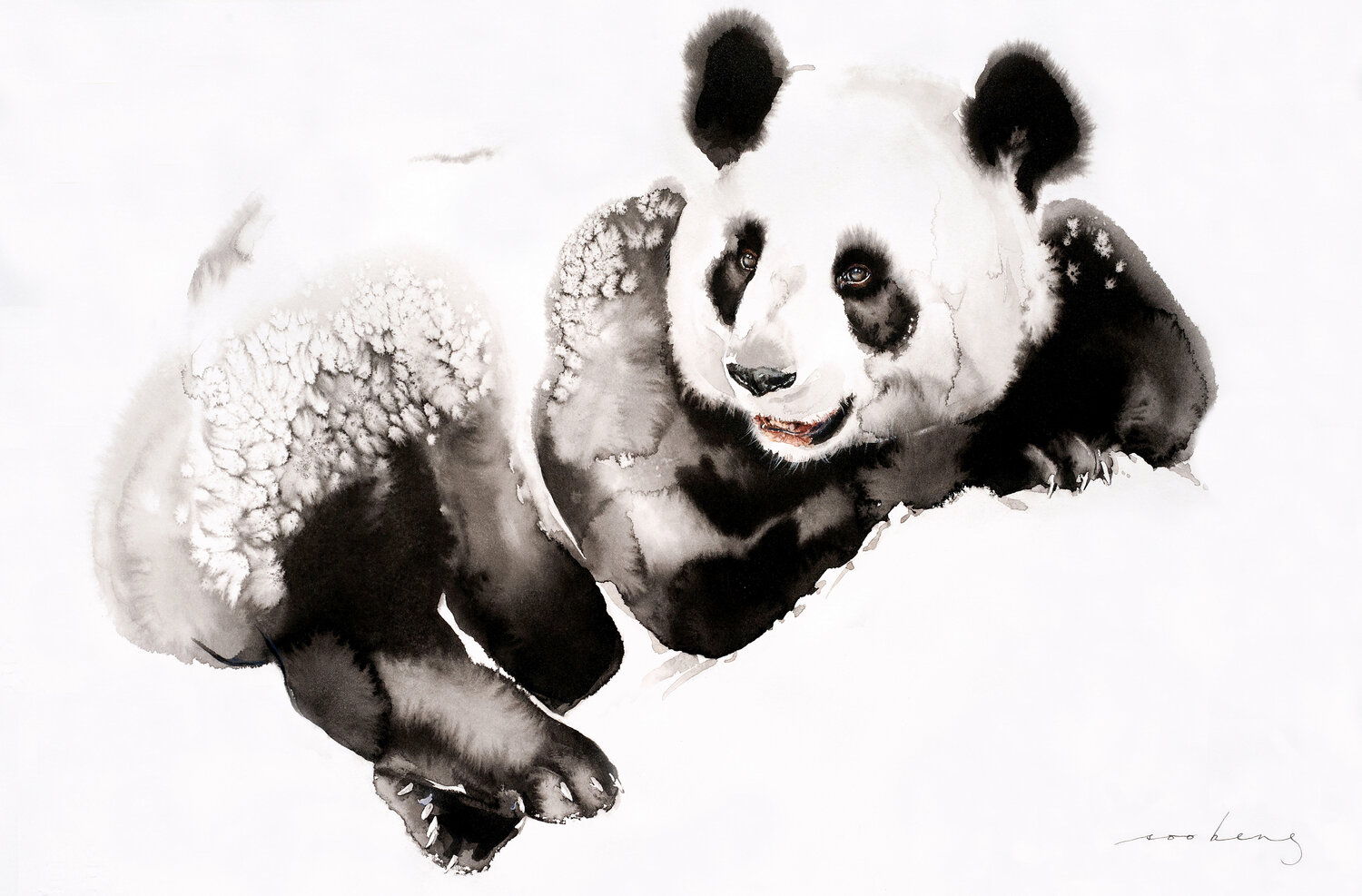 Cosy Panda3 Soo Beng Lim