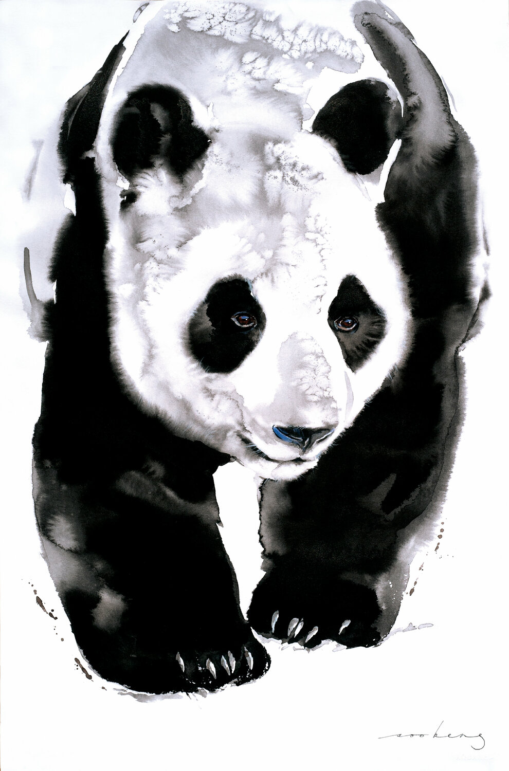 Panda Trail Soo Beng Lim
