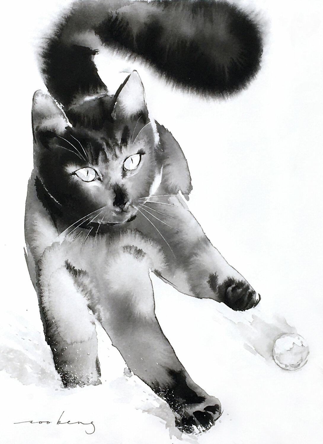 Snow Catch Soo Beng Lim