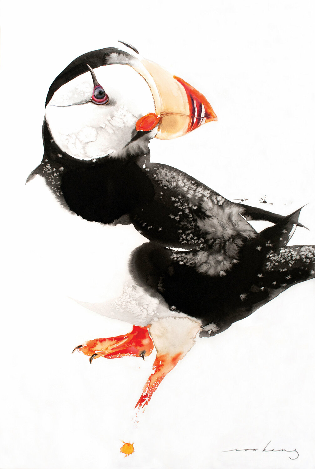 Horned Puffin Soo Beng Lim