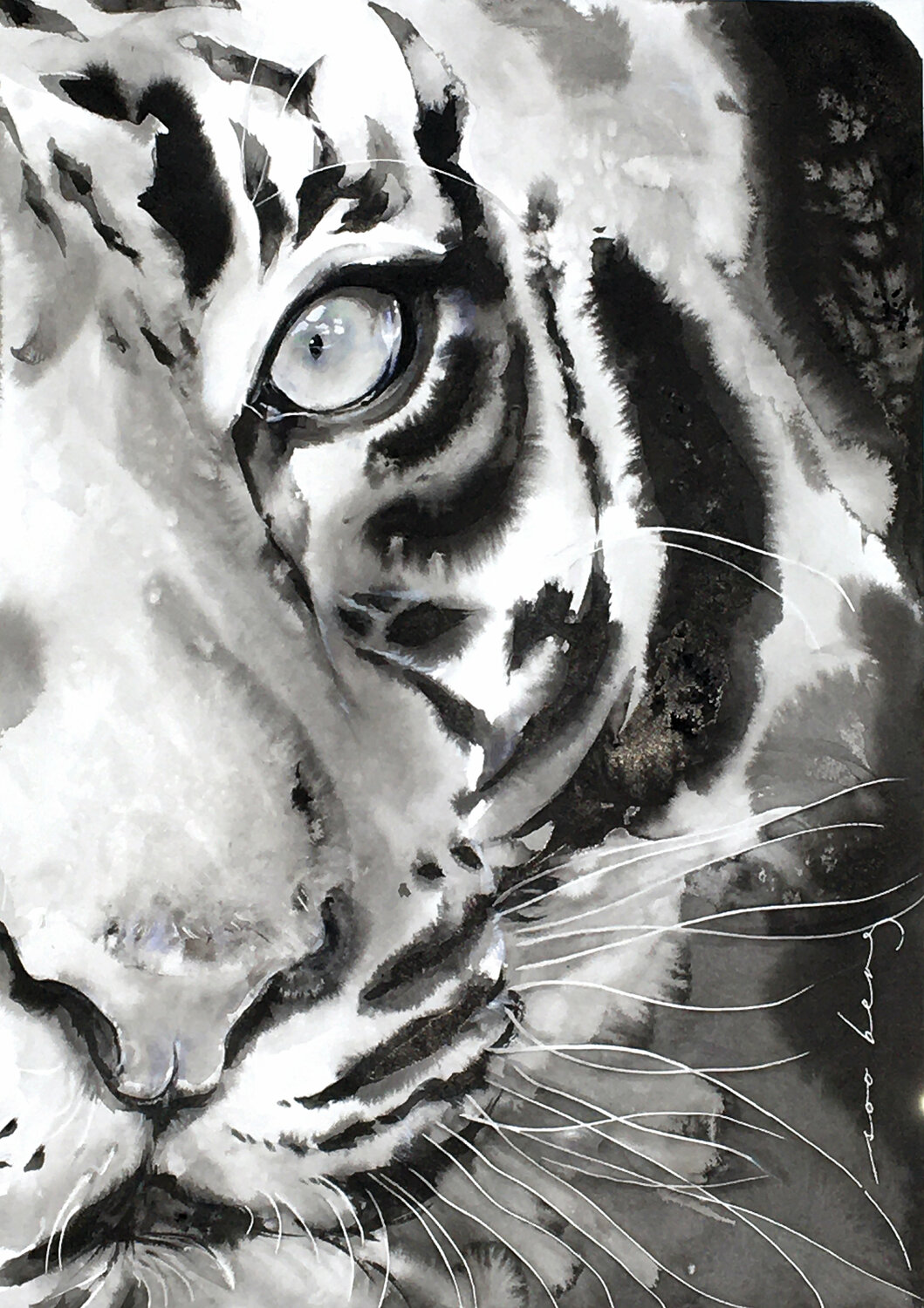 Water Tiger3 Soo Beng Lim