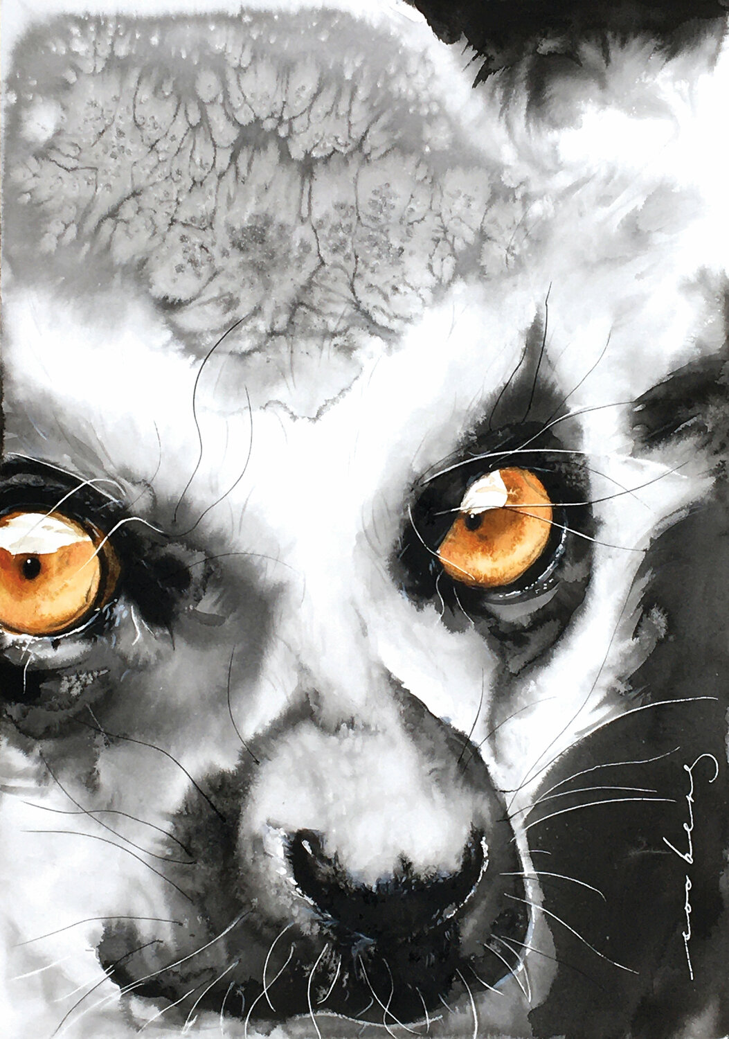 Madagascan Princess2 Soo Beng Lim