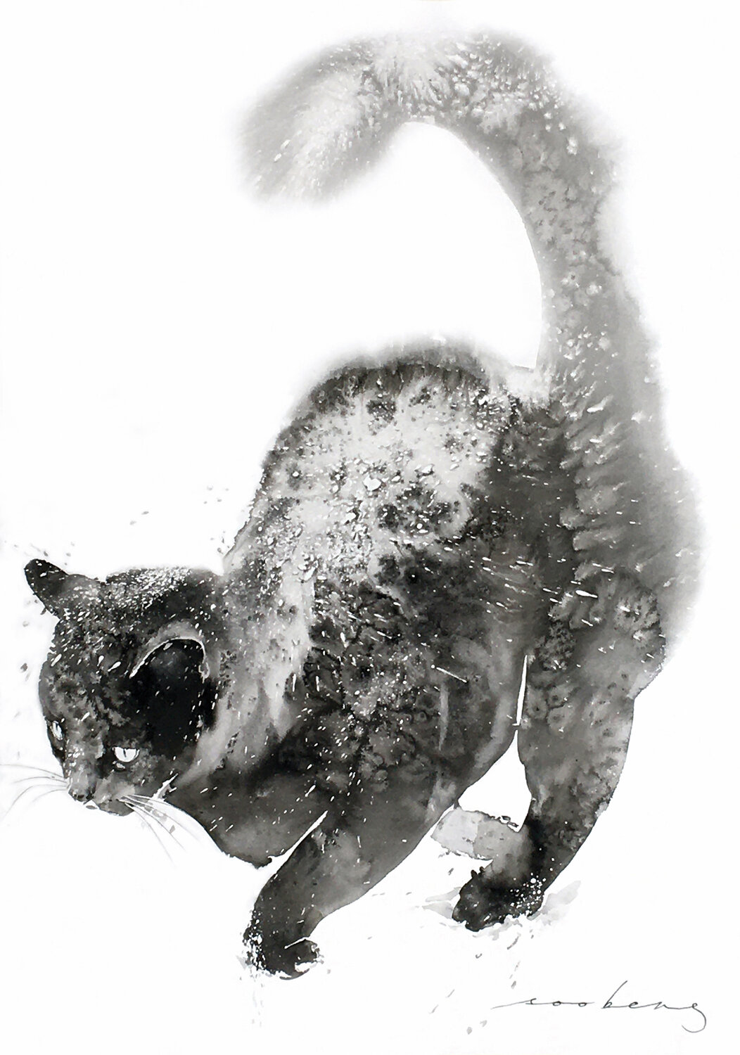 Snowy Wander Soo Beng Lim