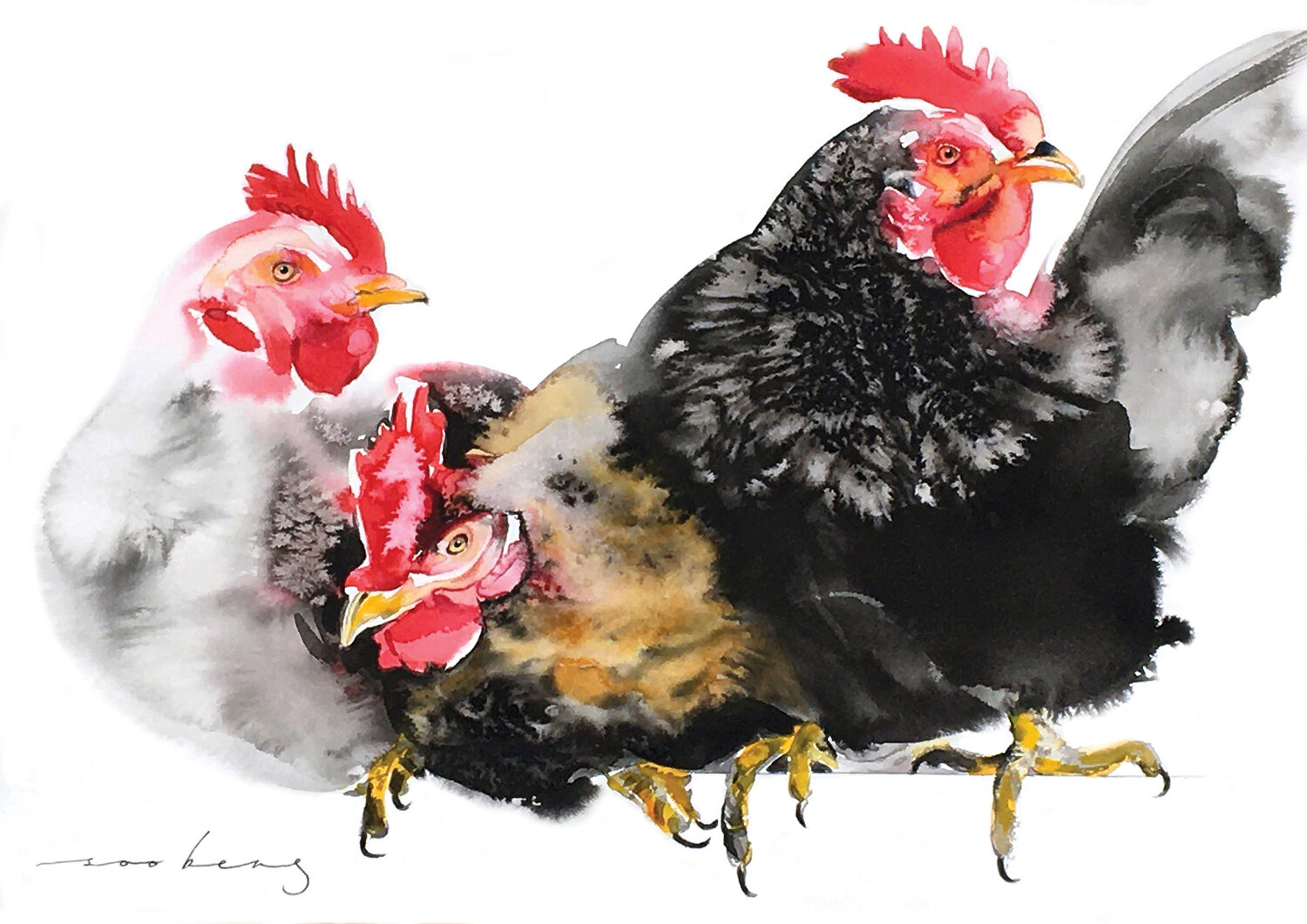 Warm Chooks (SOLD) Soo Beng Lim