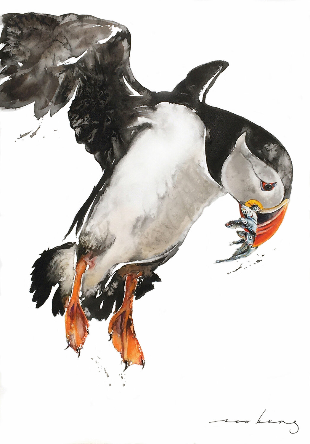 Puffin's Haul Soo Beng Lim