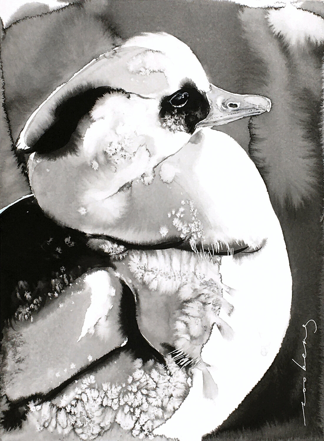 Smew Elegance Soo Beng Lim