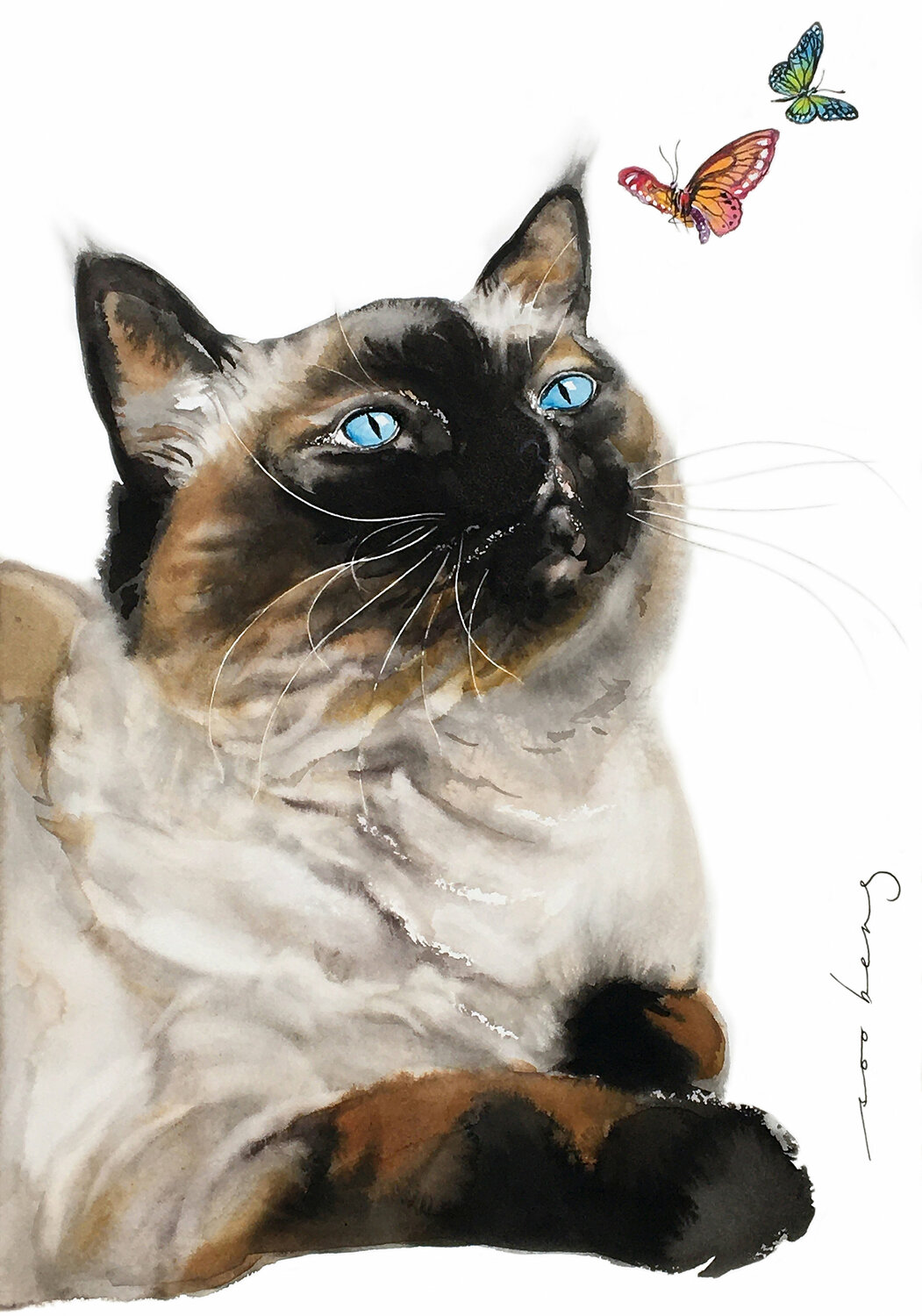 Cat Transfixé Soo Beng Lim