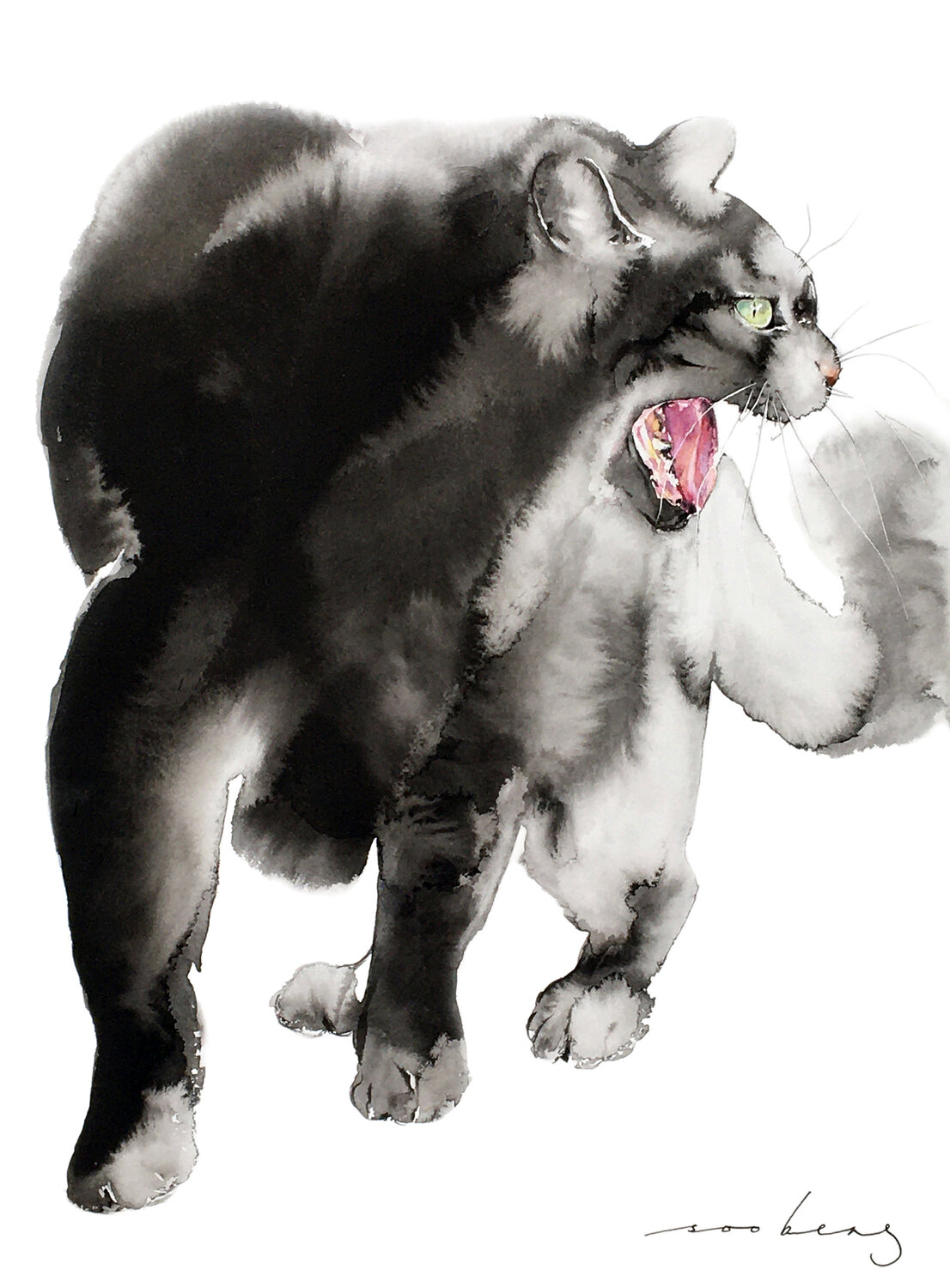 Cat Vocals Soo Beng Lim