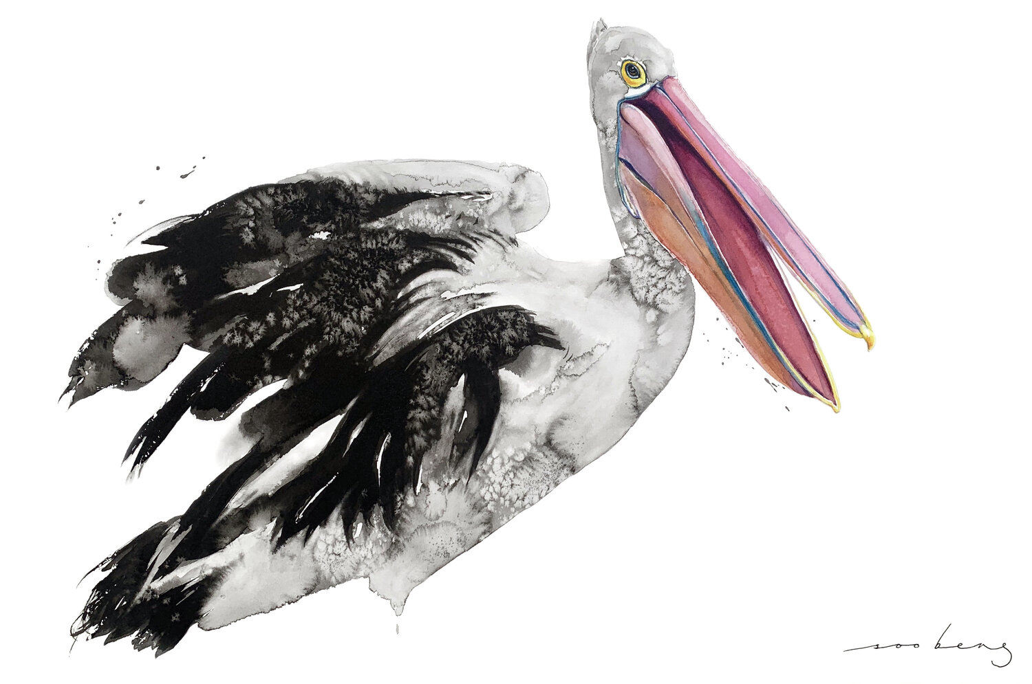 Pelican Sway Soo Beng Lim