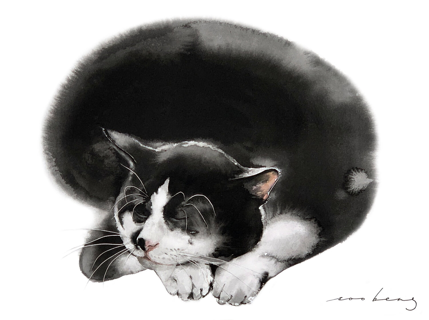 Cat Snooze Soo Beng Lim