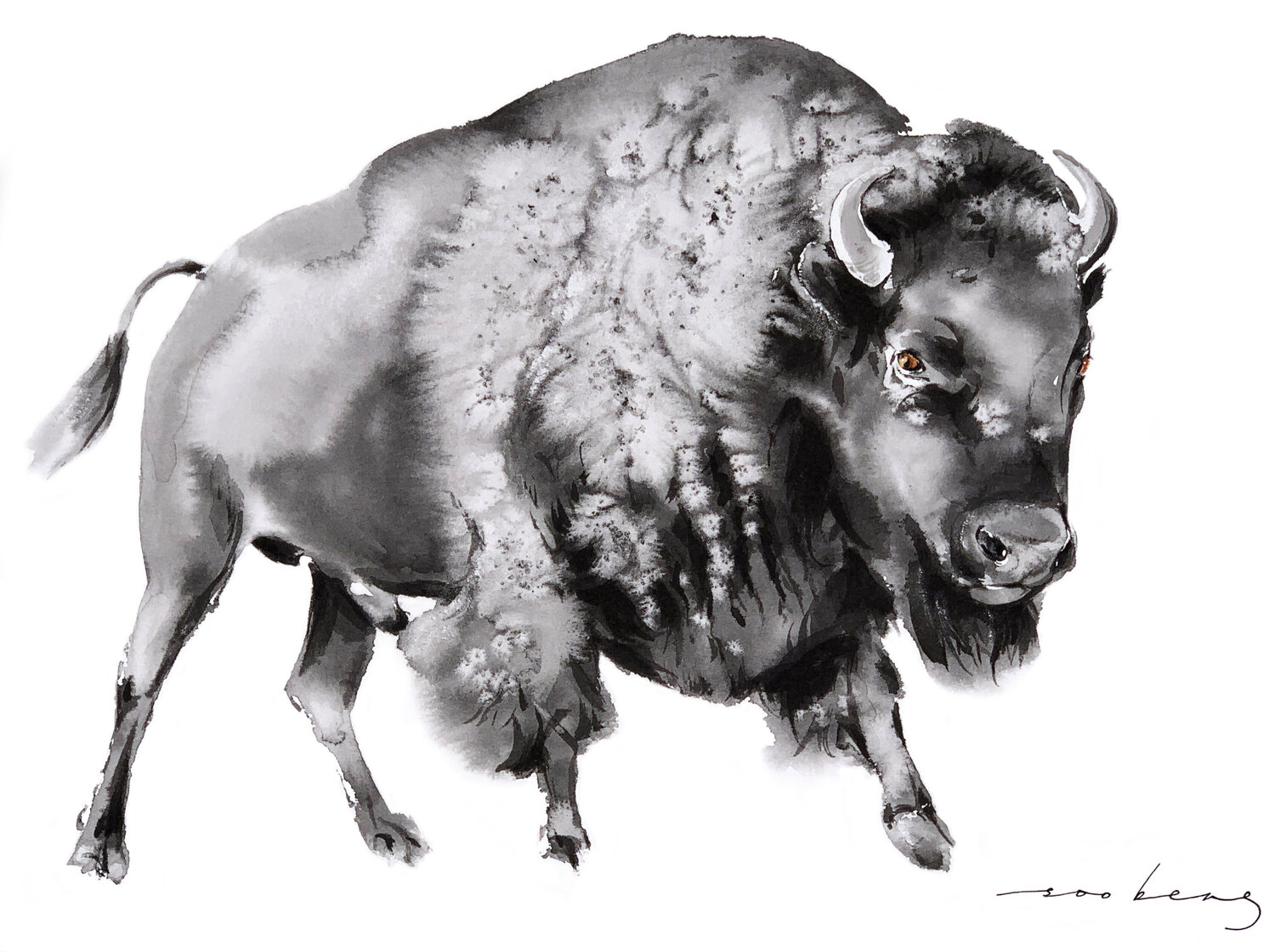 Noble Bison Soo Beng Lim