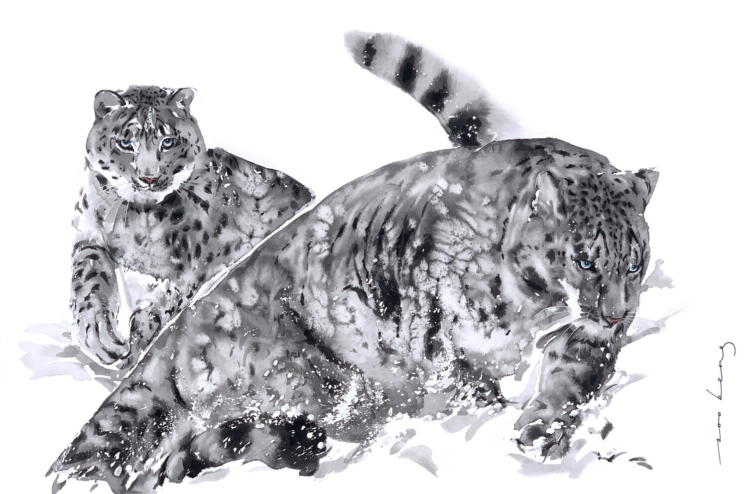 Leopard Agility Soo Beng Lim