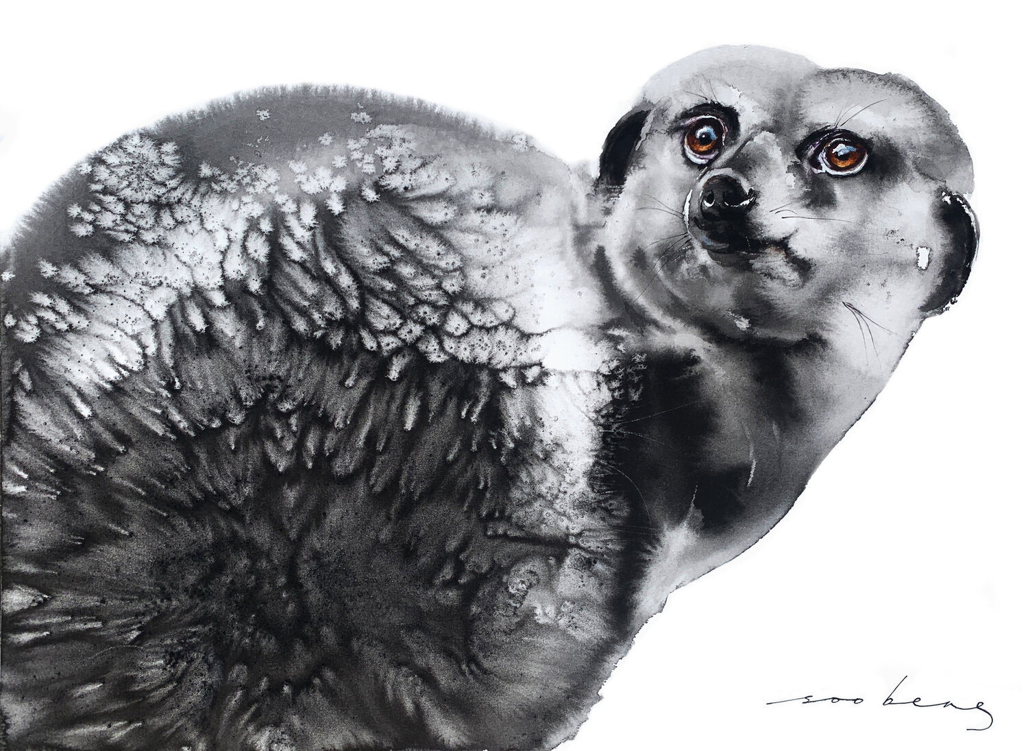 Curious Critter Soo Beng Lim