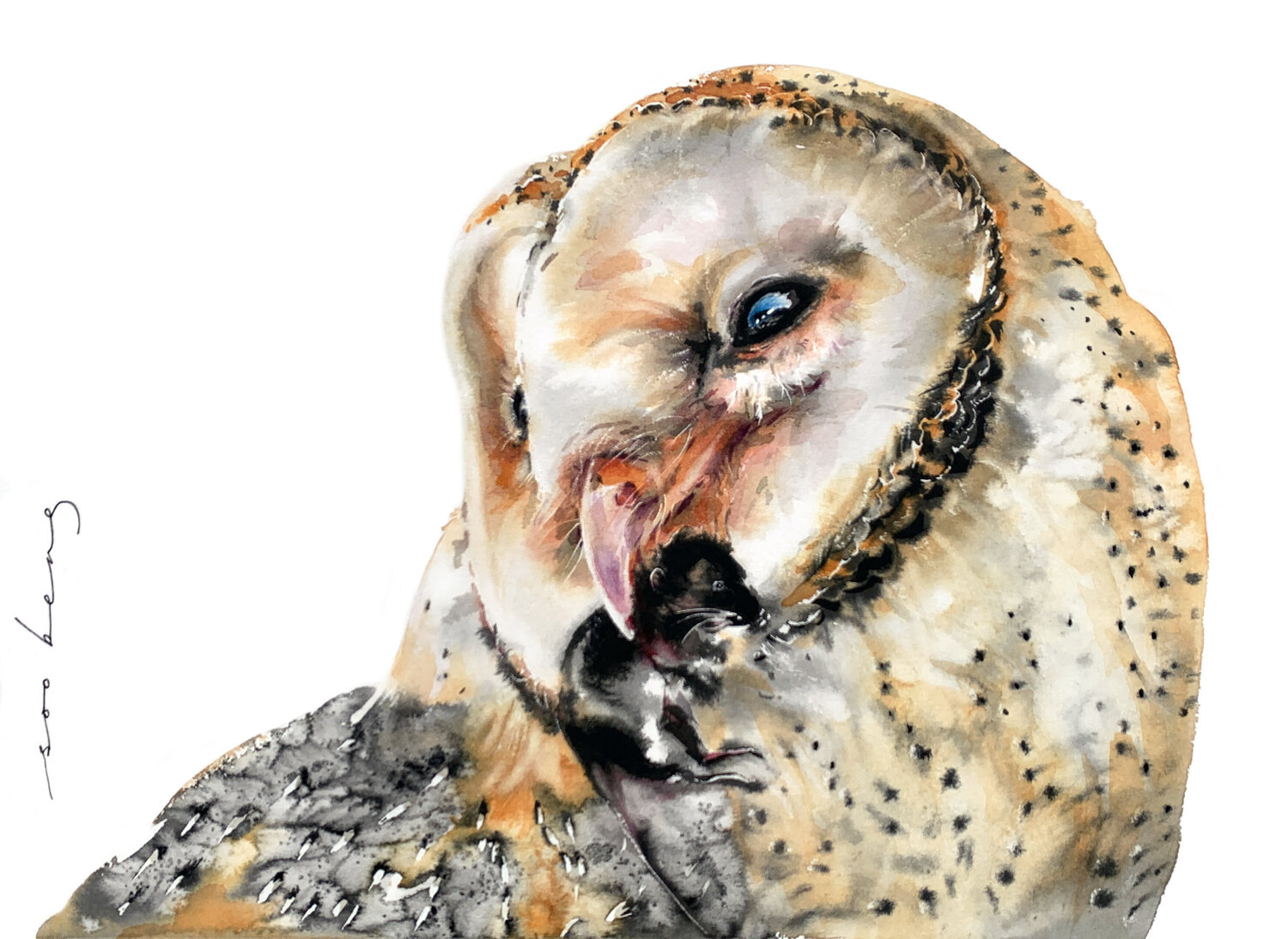Twilight Owl Soo Beng Lim