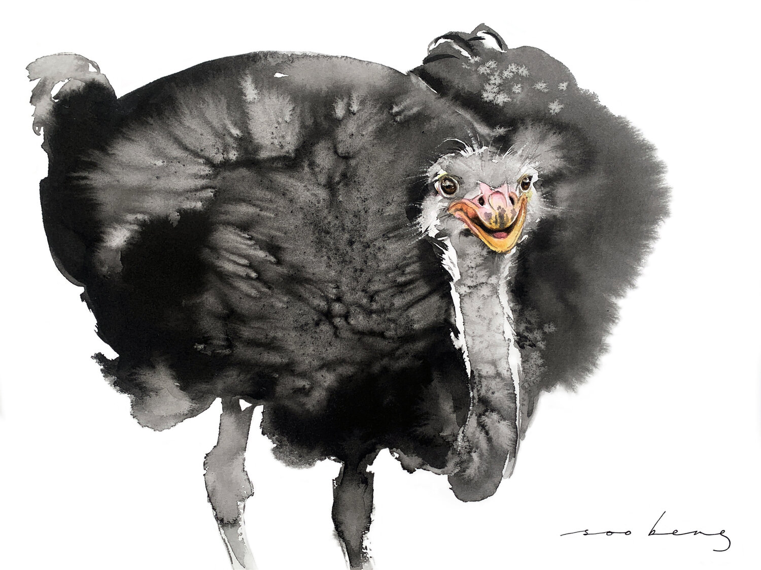 Ostrich Glee Soo Beng Lim