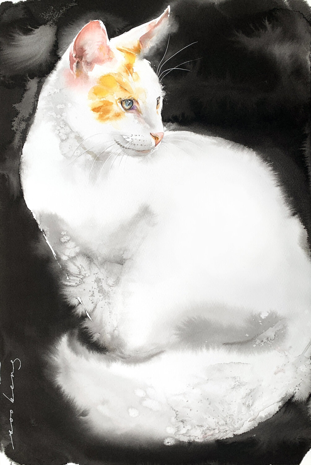 Pearly Whiskers Soo Beng Lim