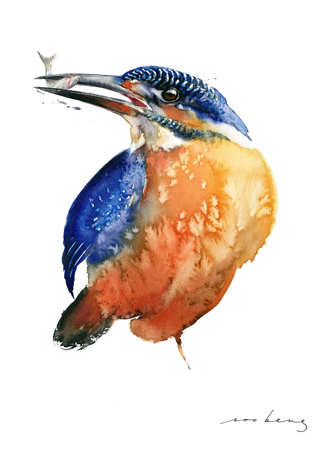 Feathered Gem Soo Beng Lim