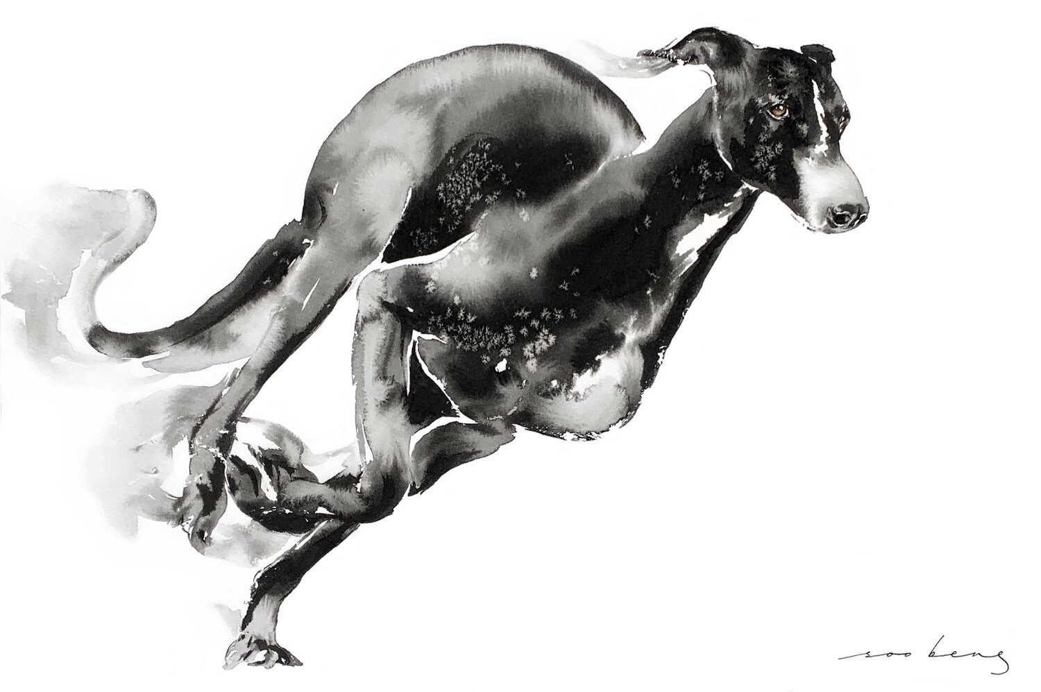 Sleek Elegance Soo Beng Lim