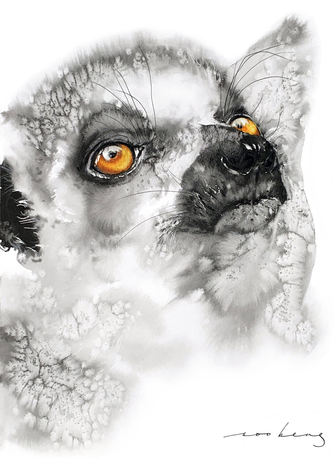 Curiosity Unleashed Soo Beng Lim