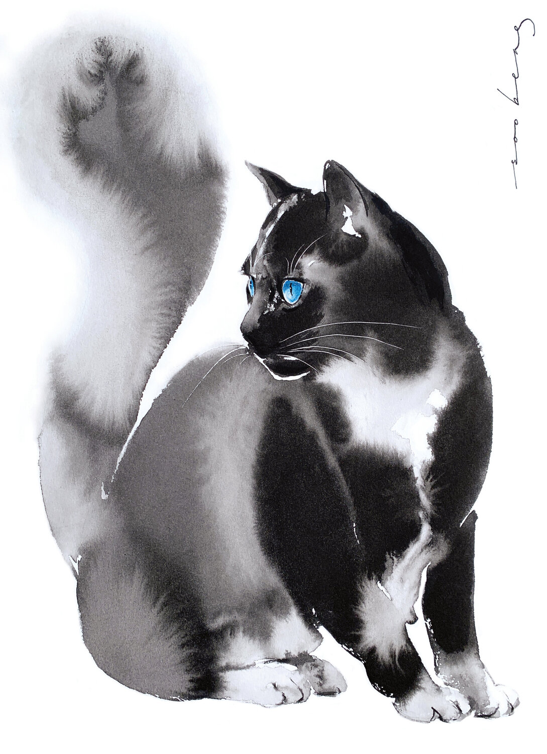 Noir Gaze Soo Beng Lim