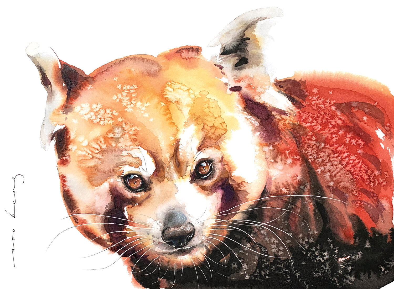 Red Bandit Soo Beng Lim