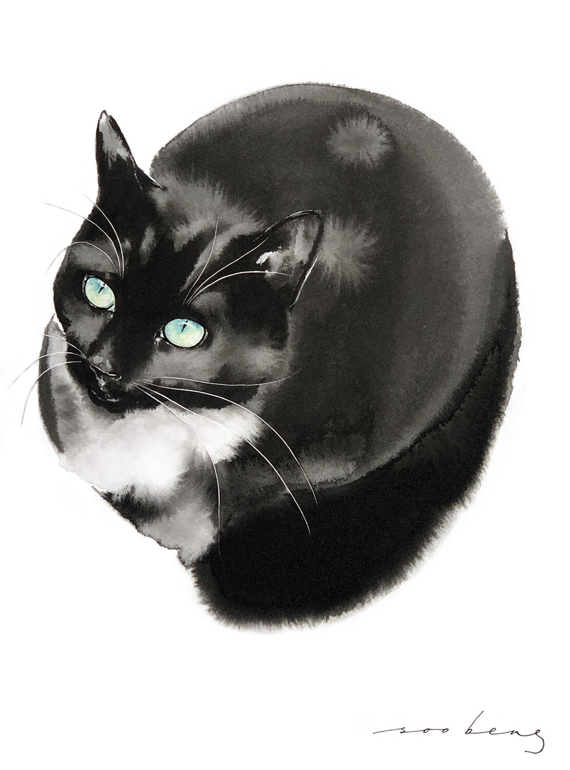 Eyes on the Stars Soo Beng Lim