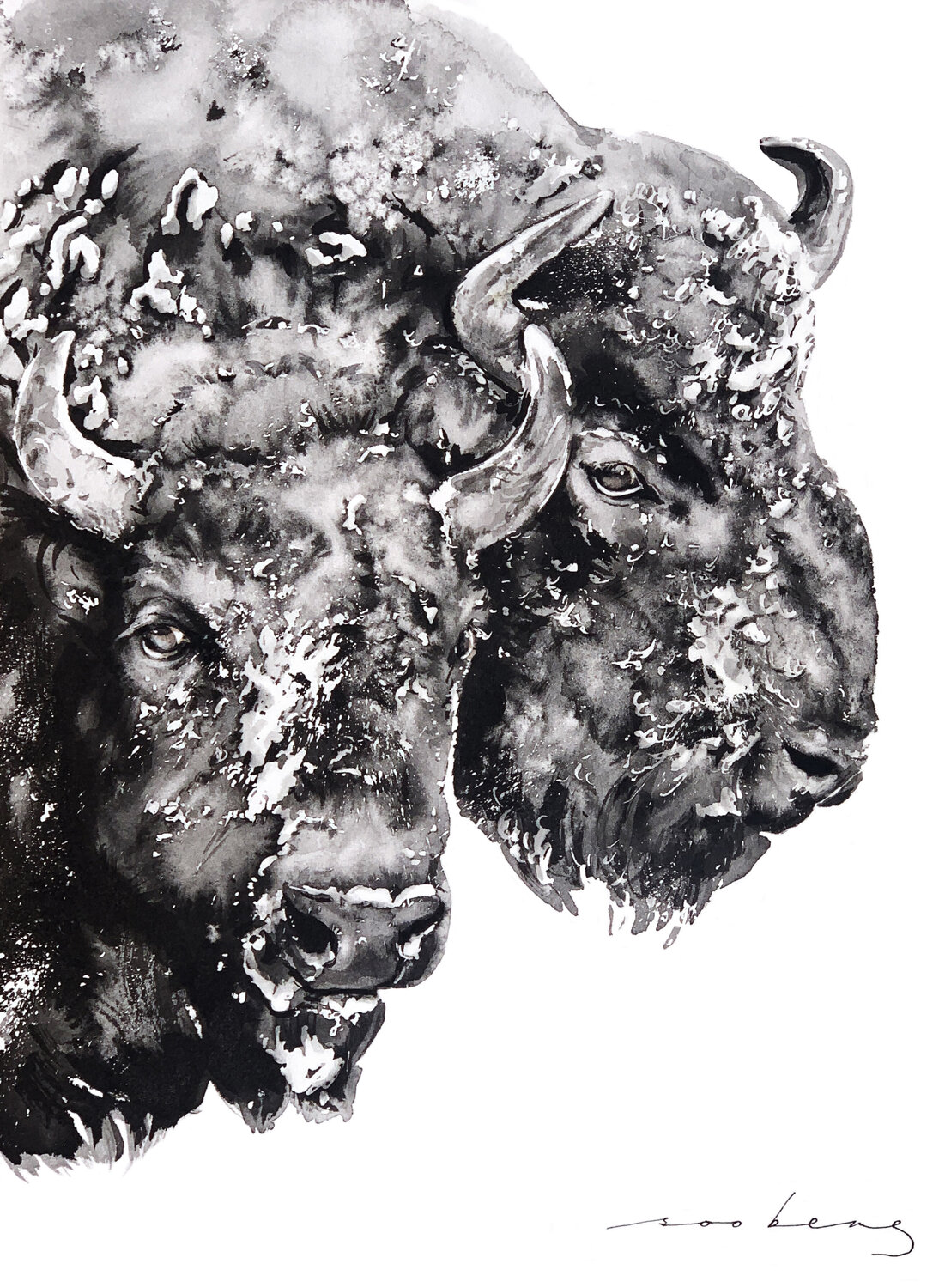 Winter Warriors Soo Beng Lim