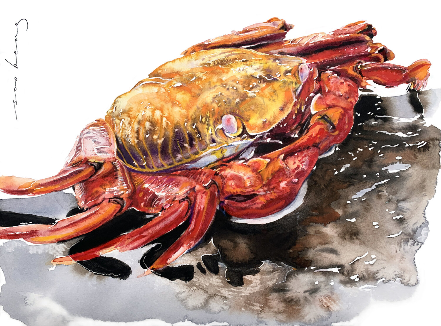 Crimson Claws Soo Beng Lim