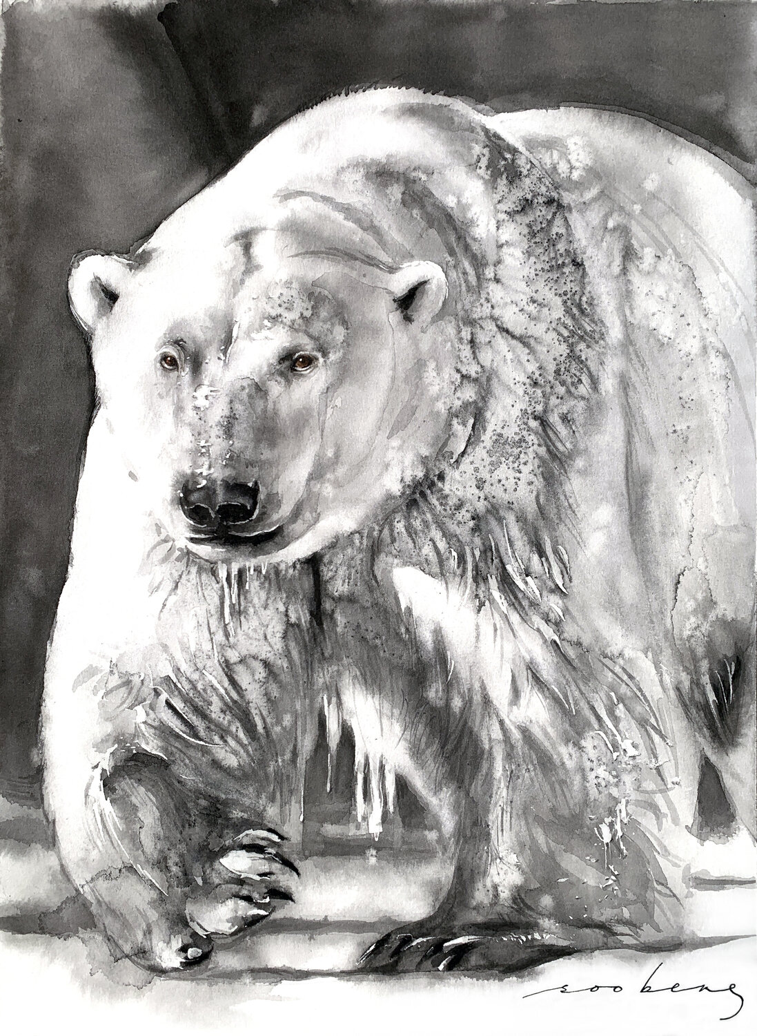 Arctic Monarch Soo Beng Lim