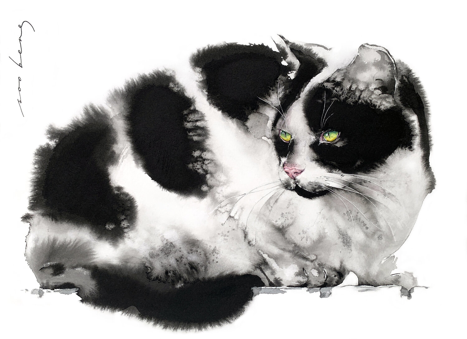 Paws and Attitude Soo Beng Lim
