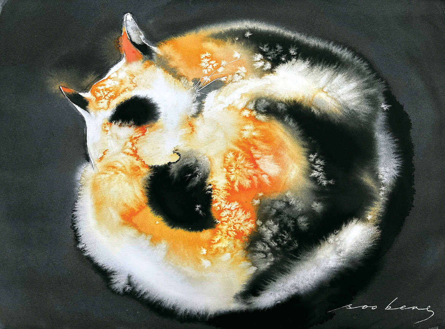 Circle of Softness Soo Beng Lim